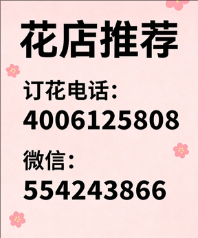 蚌埠禹会区花店哪家好