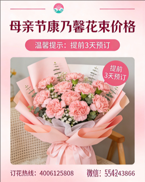 蚌埠禹会区花店母亲节康乃馨花束