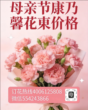 蚌埠禹会区花店母亲节康乃馨花束